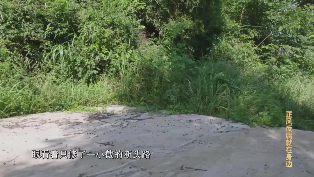 新葡京